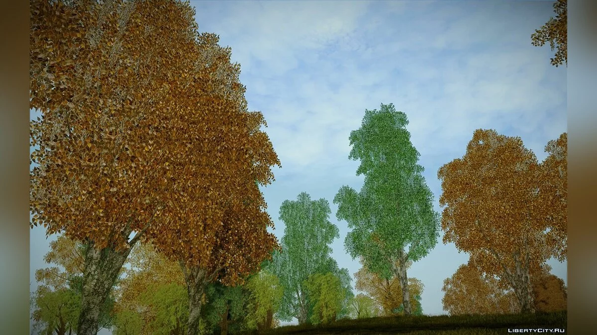Behind Space Of Realities: Cursed Memories (Trees Part) / GTA San Andreas